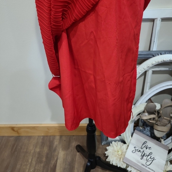 Naked Zebra Womens Size Med. RED Accordian  Pleat Mini Dress. - Picture 5 of 11